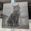 Annodized_2 custom laser engraved anodized aluminum plate image photo